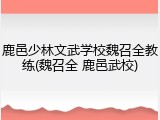 鹿邑少林文武学校魏召全教练(魏召全 鹿邑武校)
