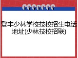 登丰少林学校技校招生电话地址(少林技校招联)