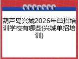 葫芦岛兴城2026年单招培训学校有哪些(兴城单招培训)