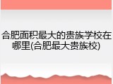 合肥面积最大的贵族学校在哪里(合肥最大贵族校)