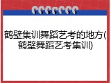 鹤壁集训舞蹈艺考的地方(鹤壁舞蹈艺考集训)