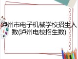 泸州市电子机械学校招生人数(泸州电校招生数)