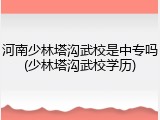 河南少林塔沟武校是中专吗(少林塔沟武校学历)