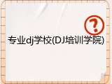 专业dj学校(DJ培训学院)