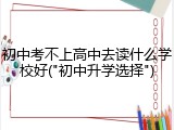 初中考不上高中去读什么学校好("初中升学选择")