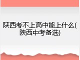 陕西考不上高中能上什么(陕西中考备选)
