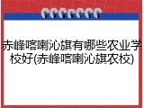 赤峰喀喇沁旗有哪些农业学校好(赤峰喀喇沁旗农校)