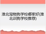 淮北宠物狗学校哪家好(淮北训狗学校推荐)