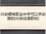 兴安哪有职业中学可以学动漫的(兴安动漫职校)