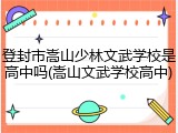 登封市嵩山少林文武学校是高中吗(嵩山文武学校高中)