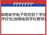 湖南省学电子商务到个学校学好些(湖南电商学校推荐)