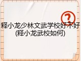 释小龙少林文武学校好不好(释小龙武校如何)