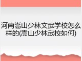 河南嵩山少林文武学校怎么样的(嵩山少林武校如何)