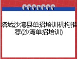 塔城沙湾县单招培训机构推荐(沙湾单招培训)