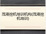 茂港挖机培训机构(茂港挖机培训)
