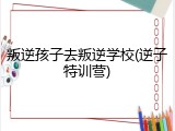 叛逆孩子去叛逆学校(逆子特训营)