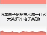 汽车电子信息技术属于什么大类(汽车电子类别)