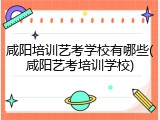 咸阳培训艺考学校有哪些(咸阳艺考培训学校)