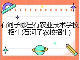 石河子哪里有农业技术学校招生(石河子农校招生)