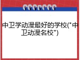 中卫学动漫最好的学校("中卫动漫名校")