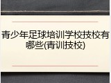 青少年足球培训学校技校有哪些(青训技校)
