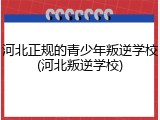 河北正规的青少年叛逆学校(河北叛逆学校)