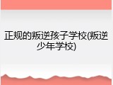 正规的叛逆孩子学校(叛逆少年学校)