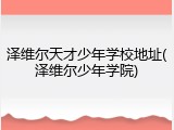 泽维尔天才少年学校地址(泽维尔少年学院)