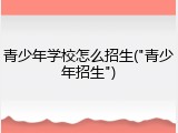 青少年学校怎么招生("青少年招生")