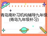 青岛南补习机构辅导九年级(青岛九年级补习)