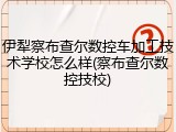 伊犁察布查尔数控车加工技术学校怎么样(察布查尔数控技校)