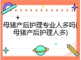 母猪产后护理专业人多吗(母猪产后护理人多)