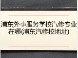 浦东外事服务学校汽修专业在哪(浦东汽修校地址)