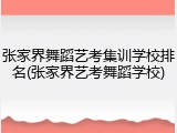 张家界舞蹈艺考集训学校排名(张家界艺考舞蹈学校)