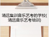 清远集训音乐艺考的学校(清远音乐艺考培训)