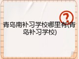 青岛南补习学校哪里有(青岛补习学校)
