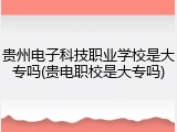 贵州电子科技职业学校是大专吗(贵电职校是大专吗)