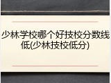 少林学校哪个好技校分数线低(少林技校低分)