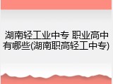 湖南轻工业中专 职业高中有哪些(湖南职高轻工中专)