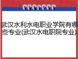 武汉水利水电职业学院有哪些专业(武汉水电职院专业)