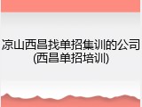 凉山西昌找单招集训的公司(西昌单招培训)