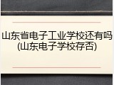 山东省电子工业学校还有吗(山东电子学校存否)