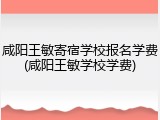 咸阳王敏寄宿学校报名学费(咸阳王敏学校学费)