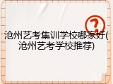 沧州艺考集训学校哪家好(沧州艺考学校推荐)