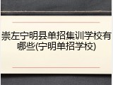 崇左宁明县单招集训学校有哪些(宁明单招学校)