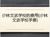 少林文武学校的费用(少林文武学校学费)