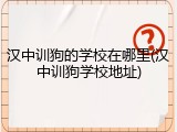 汉中训狗的学校在哪里(汉中训狗学校地址)