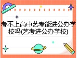 考不上高中艺考能进公办学校吗(艺考进公办学校)