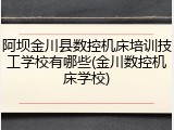 阿坝金川县数控机床培训技工学校有哪些(金川数控机床学校)