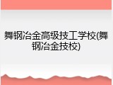 舞钢冶金高级技工学校(舞钢冶金技校)